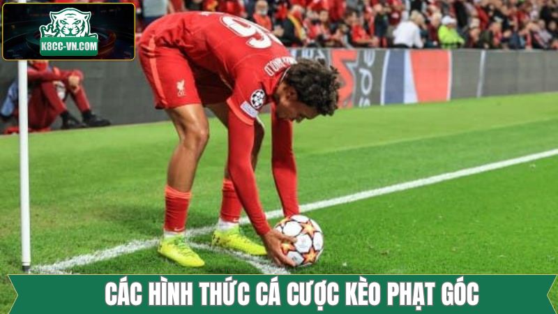 Kèo Phạt Góc - Lựa Chọn Phổ Biến Trong Cá Độ Bóng Đá 2 Kèo Tài Xỉu Corner phổ biến tại K8cc