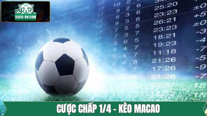Xuống tiền vào kèo Macao chấp 1/4