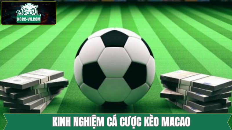 Bí kíp nên phân tích về đội bóng trước khi bắt đầu