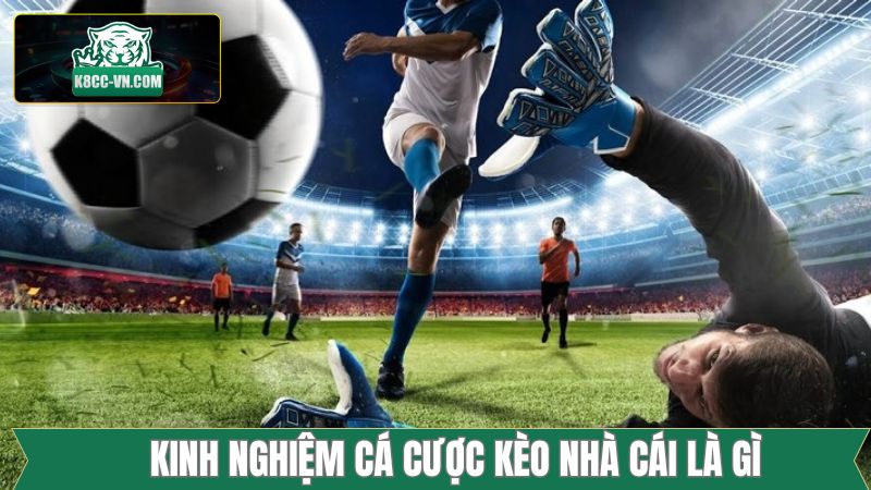 Kèo nhà cái là gì cùng một vài bí kíp hữu ích