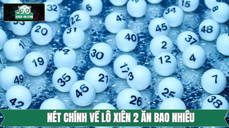 Nét chính về lợi nhuận từ lô xiên 2