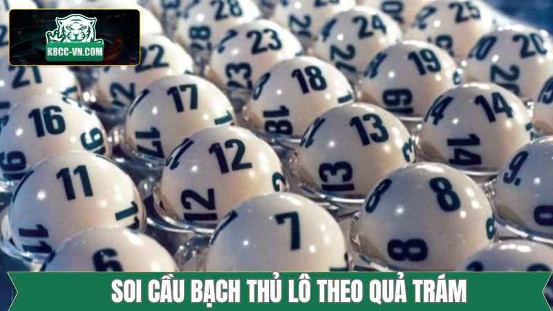 Bạch Thủ Lô - Phương Pháp Soi Cầu Bất Bại Từ Cao Thủ K8cc 3 Bắt bạch thủ chuẩn xác theo quả trám