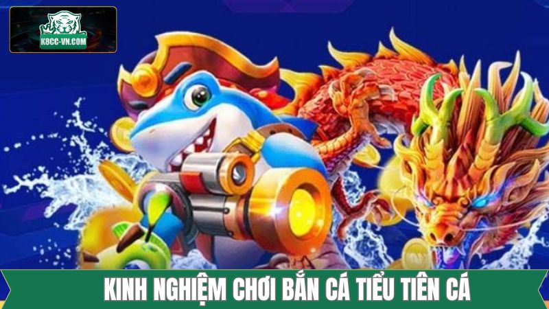 Chọn bàn săn ngư phù hợp với tài chính