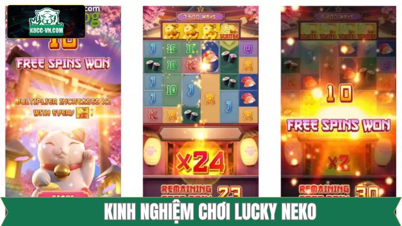 Kinh nghiệm chinh phục tiền vàng từ Lucky Neko